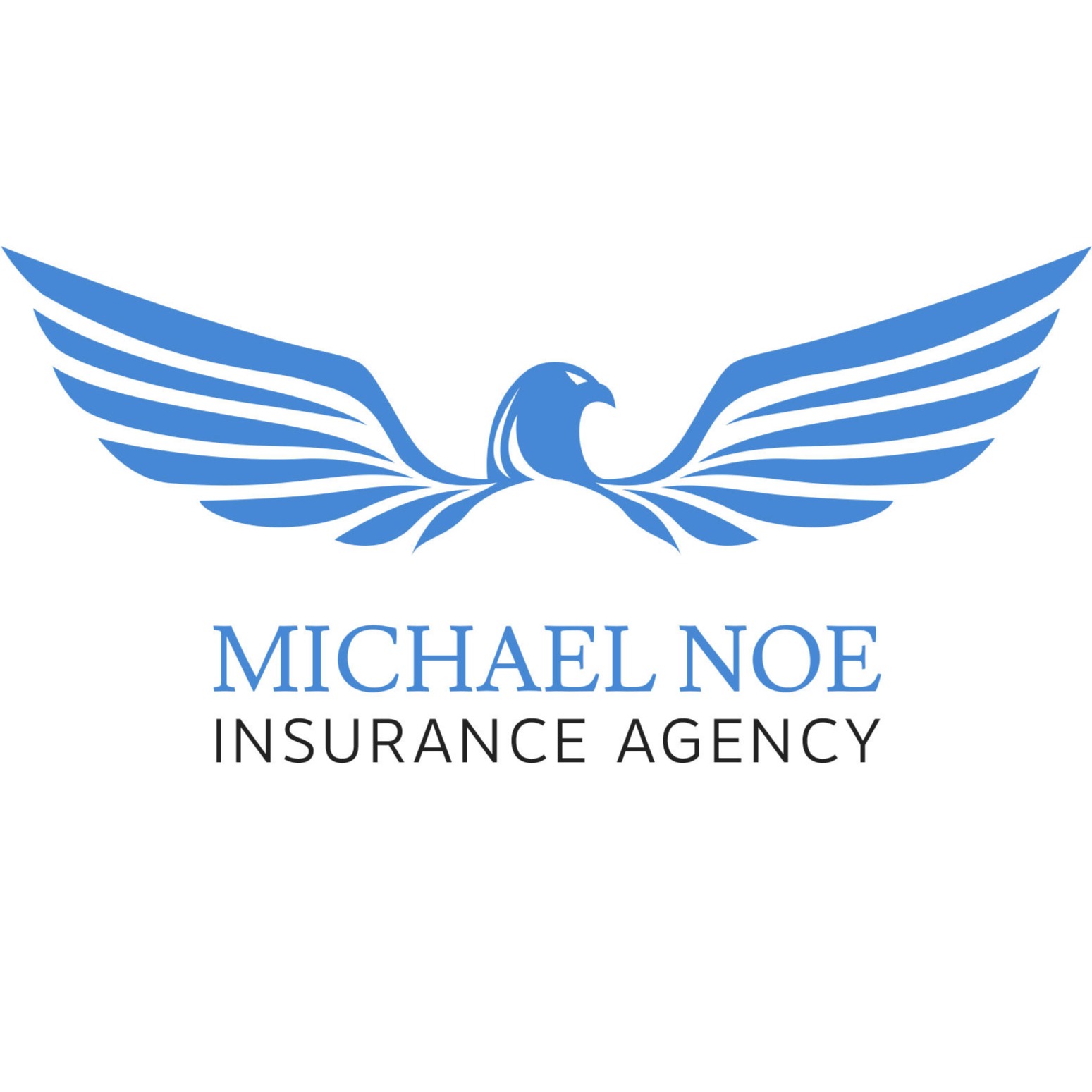 Michael Noe, Insurance Agent