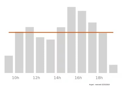 Voir le trafic sur Google maps https://maps.google.com/maps?cid=10200666423972516261