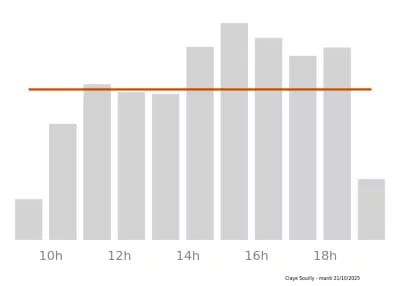 Voir le trafic sur Google maps https://maps.google.com/maps?cid=15654530991560747099