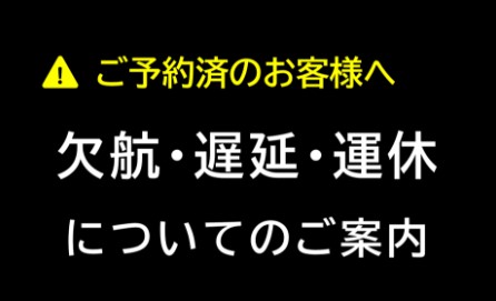 欠航・遅延・運休についてのご案内