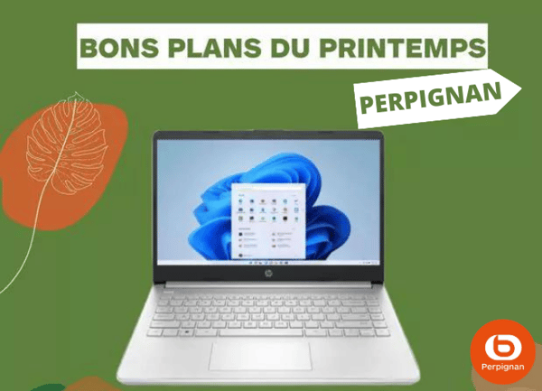 Ordinateur portable HP   Boulanger Perpignan