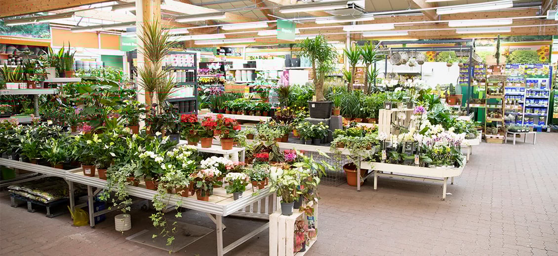 Dein OBI Markt Neubrandenburg Nord, Eschengrunder Str.3