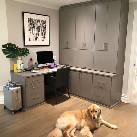 Home office desk and cabinets with plant and photo on wall and dog in foreground