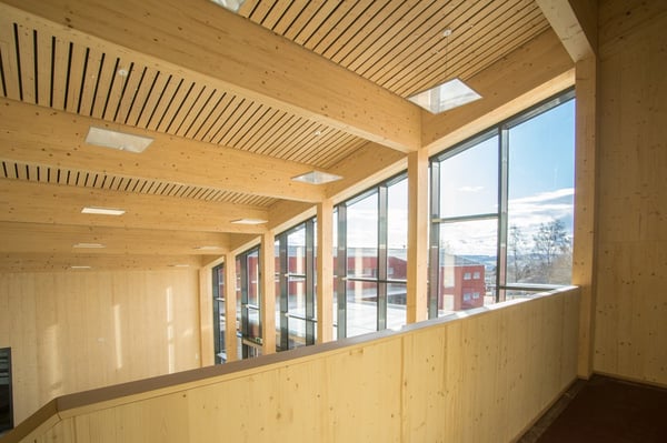 Neubau Schule und Turnhalle in Villars-sur-Glâne