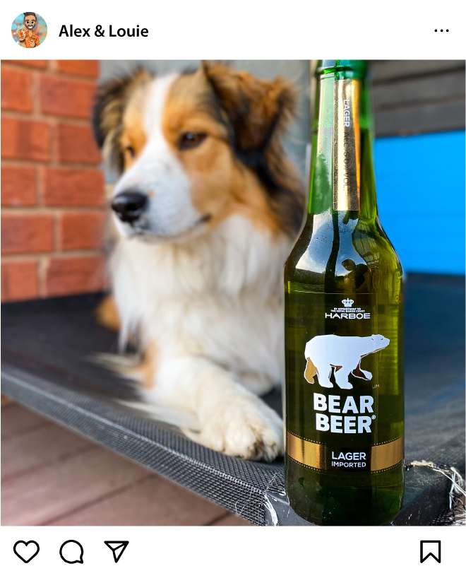Bear Beer with Alex & Louie