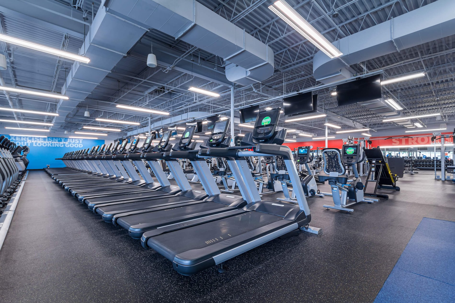 All Blink Fitness Gyms in IL cardio equipment, strength equipment, gym equipment, gym near me