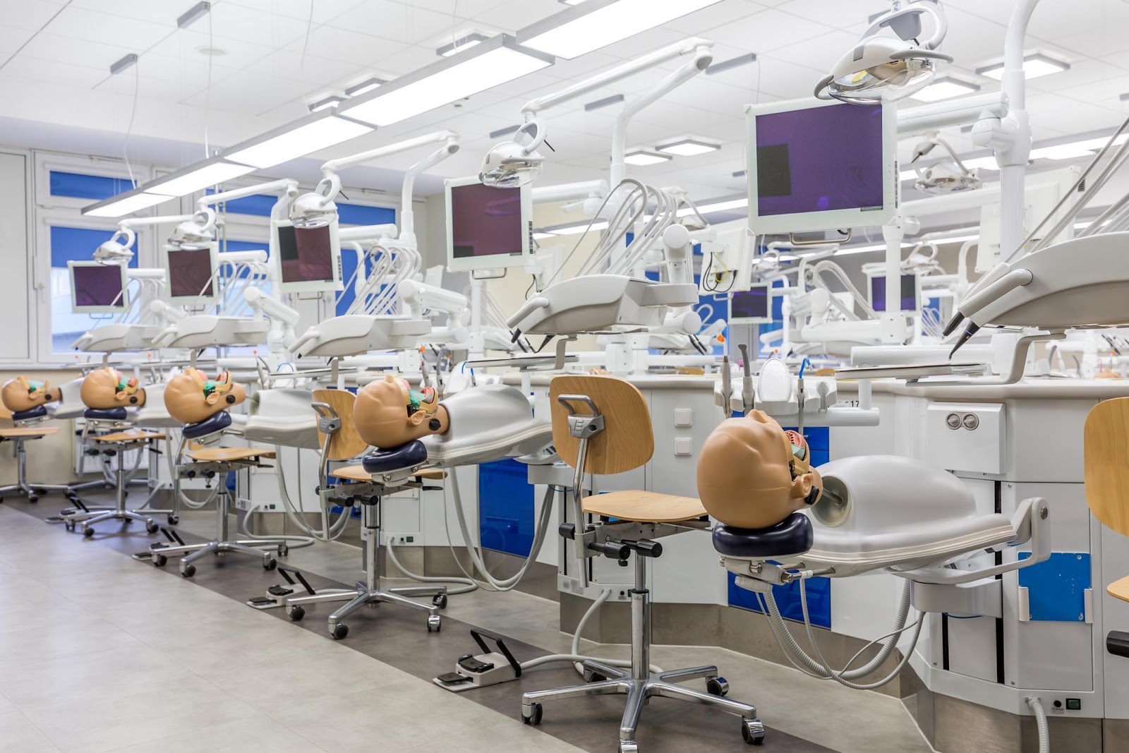 Preparing for Dental School.jpg