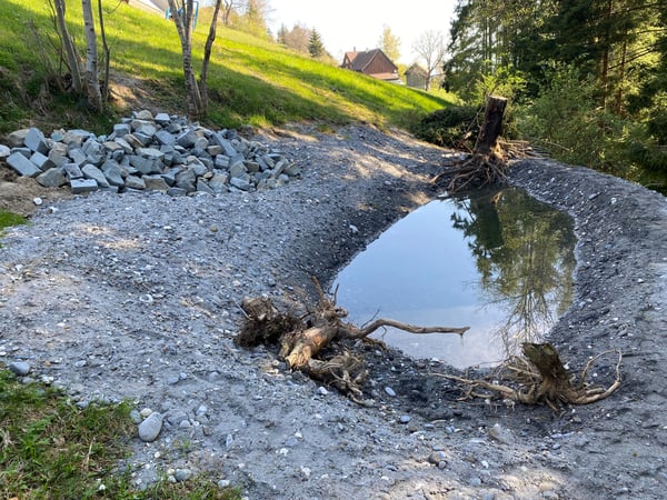 Amphibienweiher