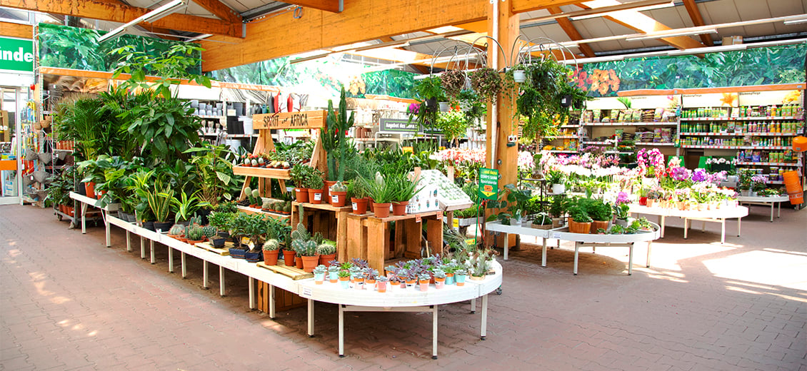 dein-obi-markt-ottendorf-okrilla-gr-nberger-str-1