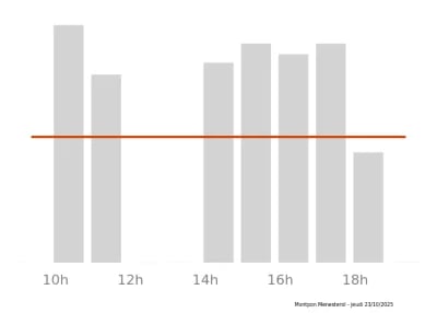 Voir le trafic sur Google maps https://maps.google.com/maps?cid=11960648980829759976