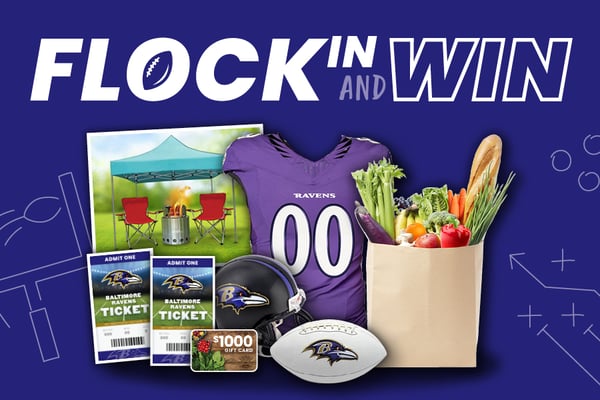 flock in and win
