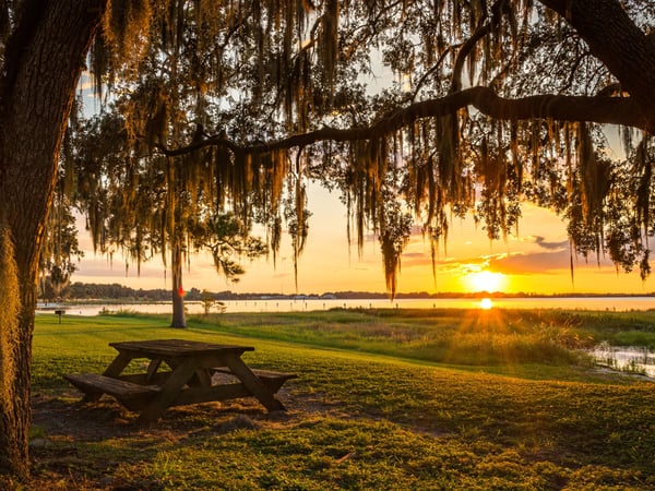 Fiber internet in Clermont, FL