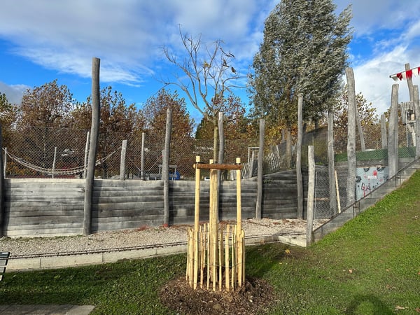 ELLEXA Sàrl, Soins aux arbres à Attalens