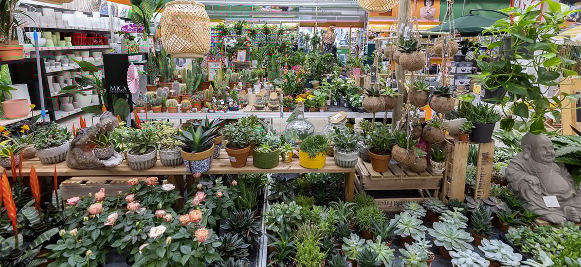 Dein OBI Markt Bad Oeynhausen, Mindener Str. 22