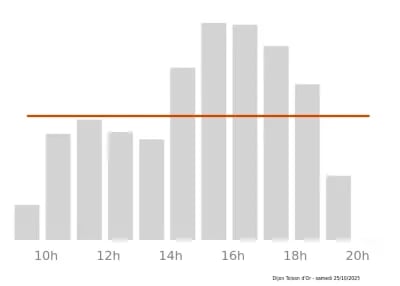 Voir le trafic sur Google maps https://maps.google.com/maps?cid=2901735602767065375