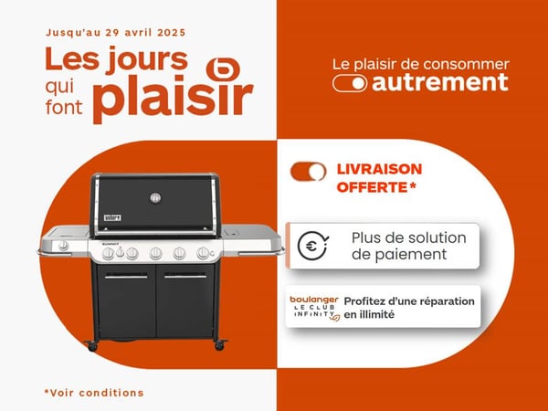 Barbecue Weber à Bordeaux lac