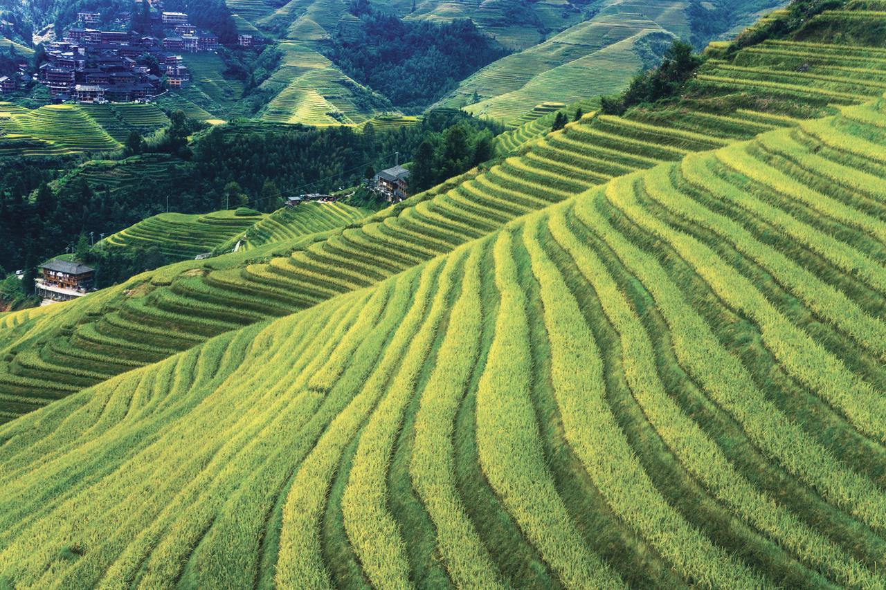 Hero Background Image