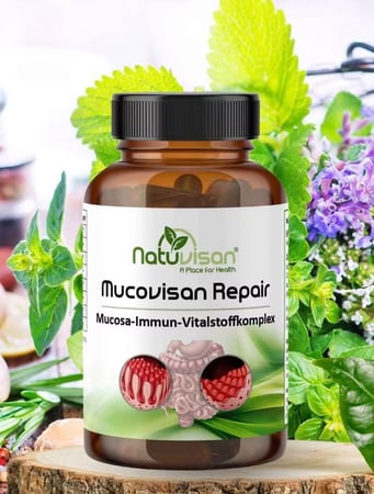 Mucovisan Repair Mucosa Immun Vitalstoffkomplex