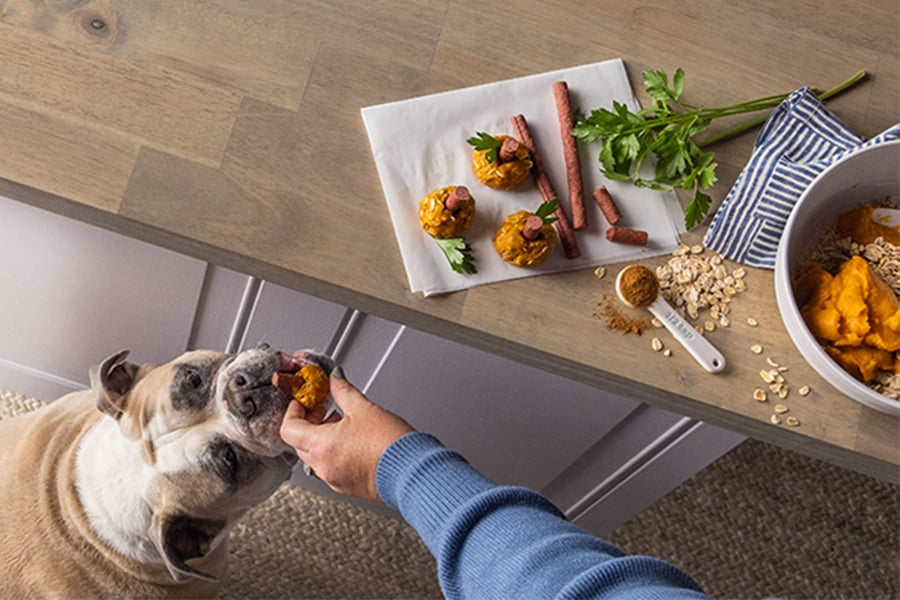 Pet Meds & Supplies Near Me in Rapid City Dog food, Cat Food, Pet