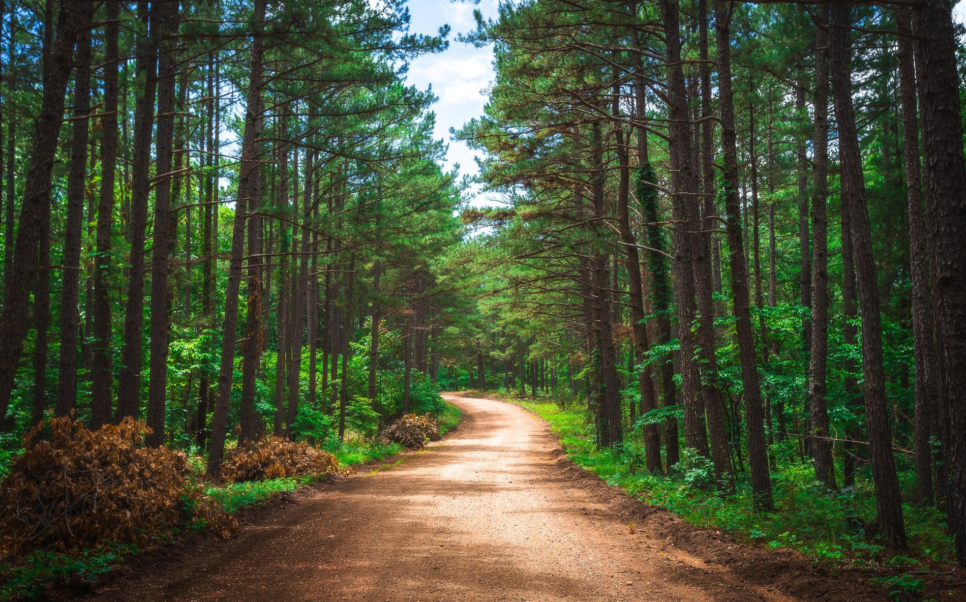 Hero Background Image