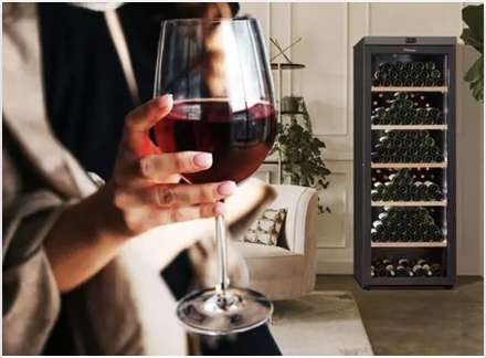 Quelle cave à vins La Sommelière choisir ? Livraison & mise en service offertes de votre cave à vins dans  votre magasin Boulanger Pau-Lons