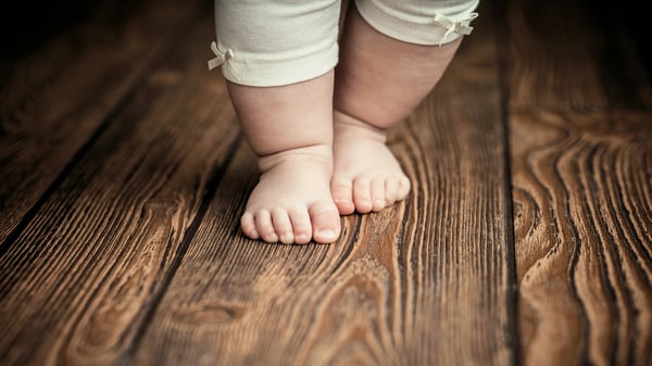 Floor & Care Zürich www.floorandcare.ch