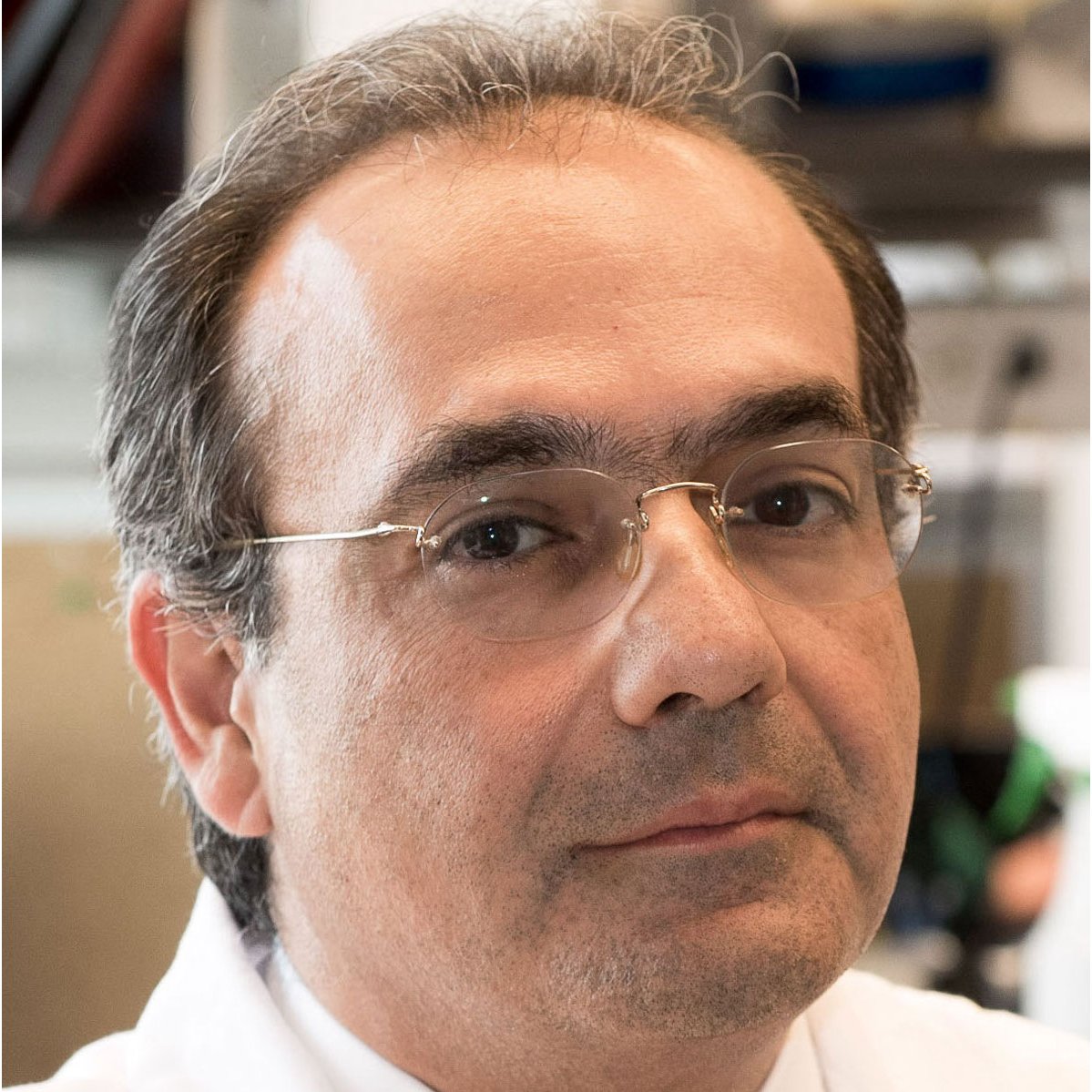 Ali G Gharavi, MD