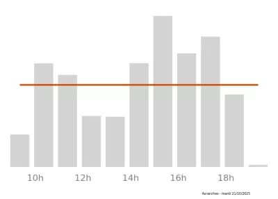 Voir le trafic sur Google maps https://maps.google.com/maps?cid=16146314322635239790