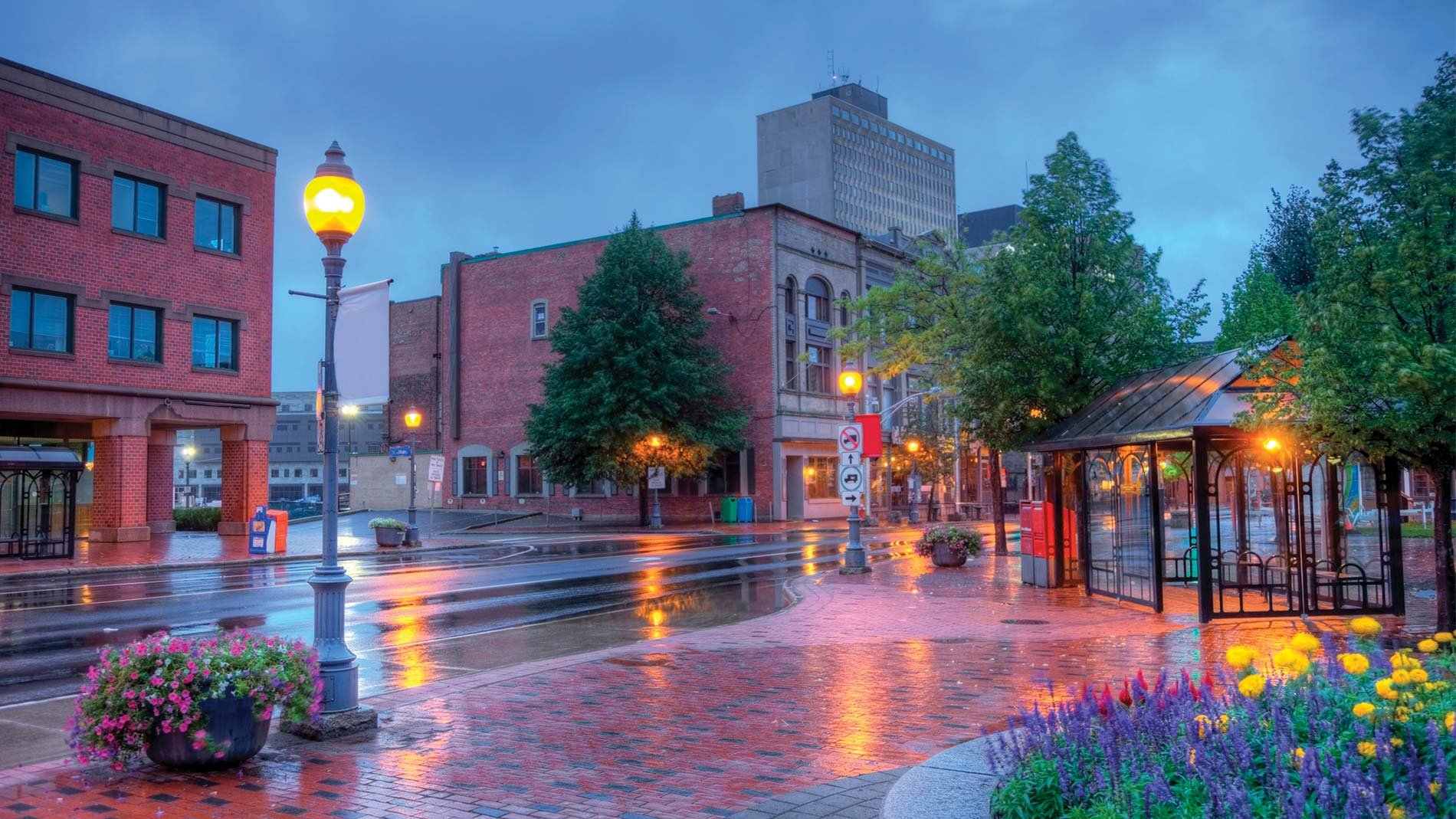 Rainy evening view of a street in Moncton, New Brunswick.