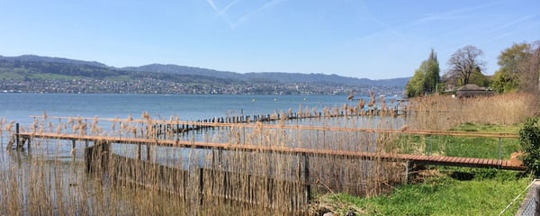 Steg, Holz im Aussenbereich