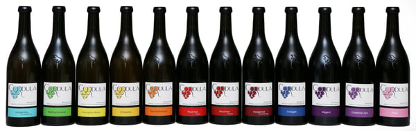 Weinserie - Weinbau Cordula Morgenegg-Posch