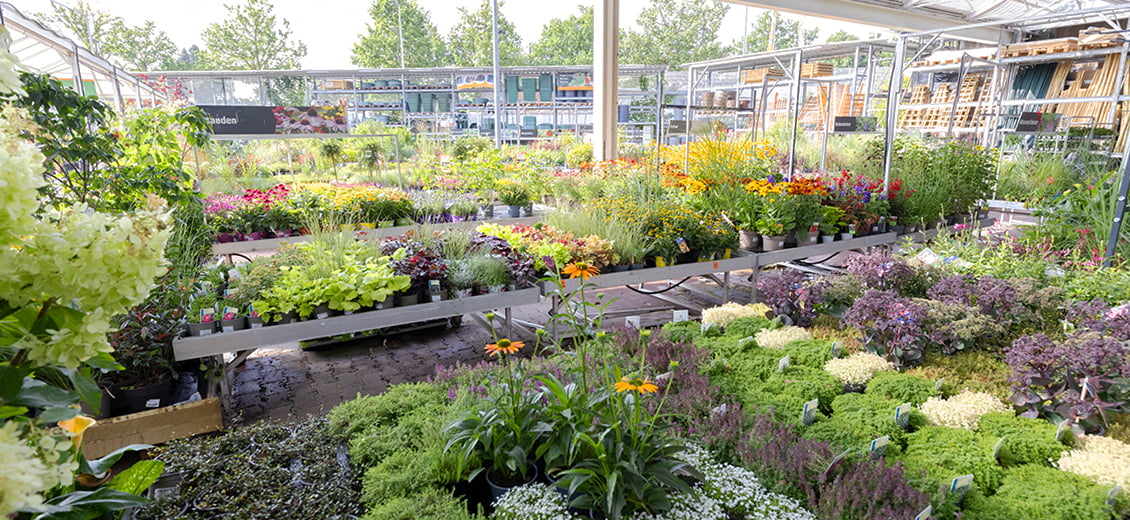 Dein OBI Markt BielefeldNord, Eckendorfer Str. 222