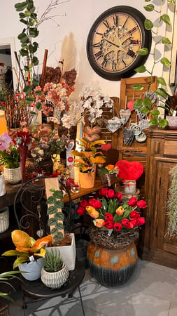 Interno negozio. Piante, fiori , decorazioni, marimo, accessori, vasi