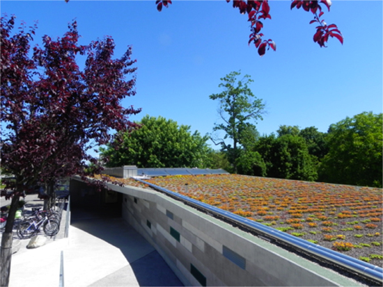 Solare Warmwasseraufbereitung Gartenbad Bottmingen