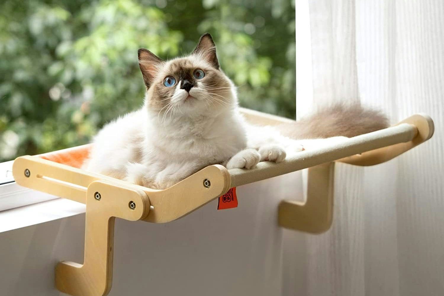 cat food and supplies in Westminster