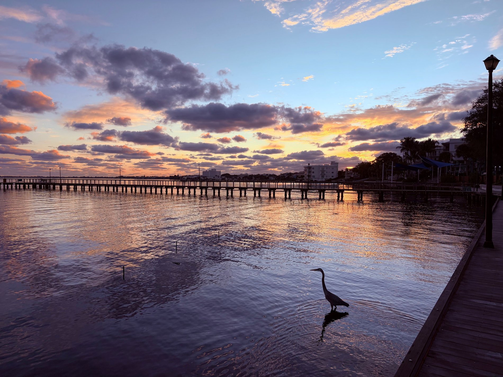 Hero Background Image