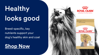 Healthy looks good | Breed-specific, key nutrients support your dog's healthy skin and coat