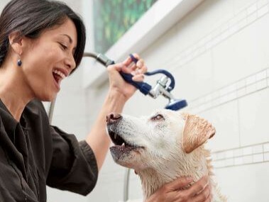 Mobile Grooming Greater Heights | Petco