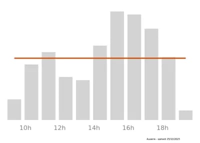 Voir le trafic sur Google maps https://maps.google.com/maps?cid=15697183194548584704