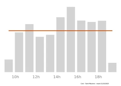 Voir le trafic sur Google maps https://maps.google.com/maps?cid=4707970166749913135