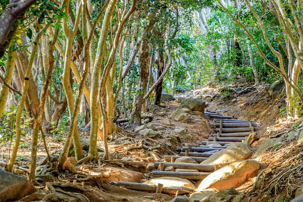 芥屋の大門公園