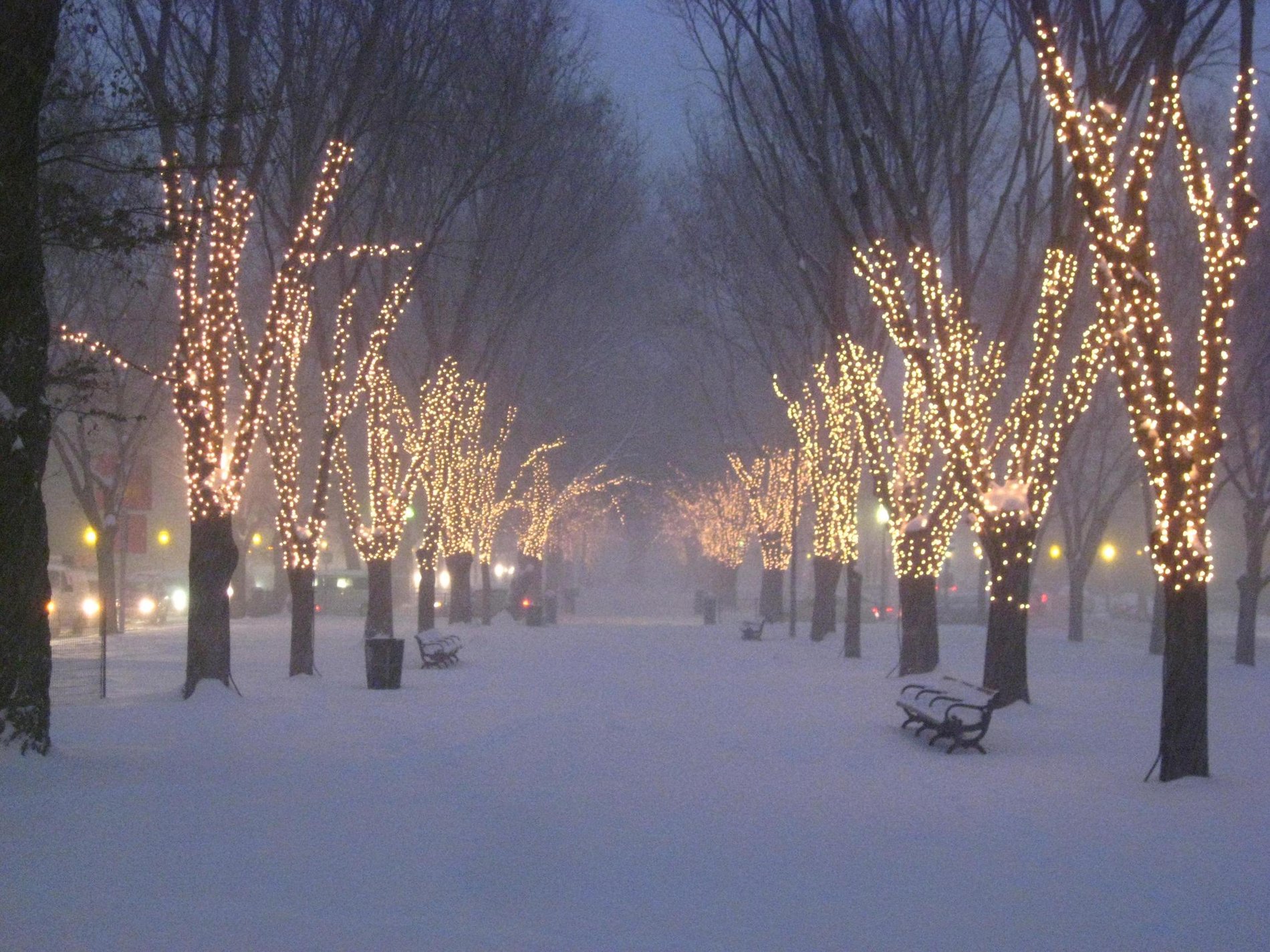 You Can't Manage Portfolio Risk Without Seeing the Big Picture The