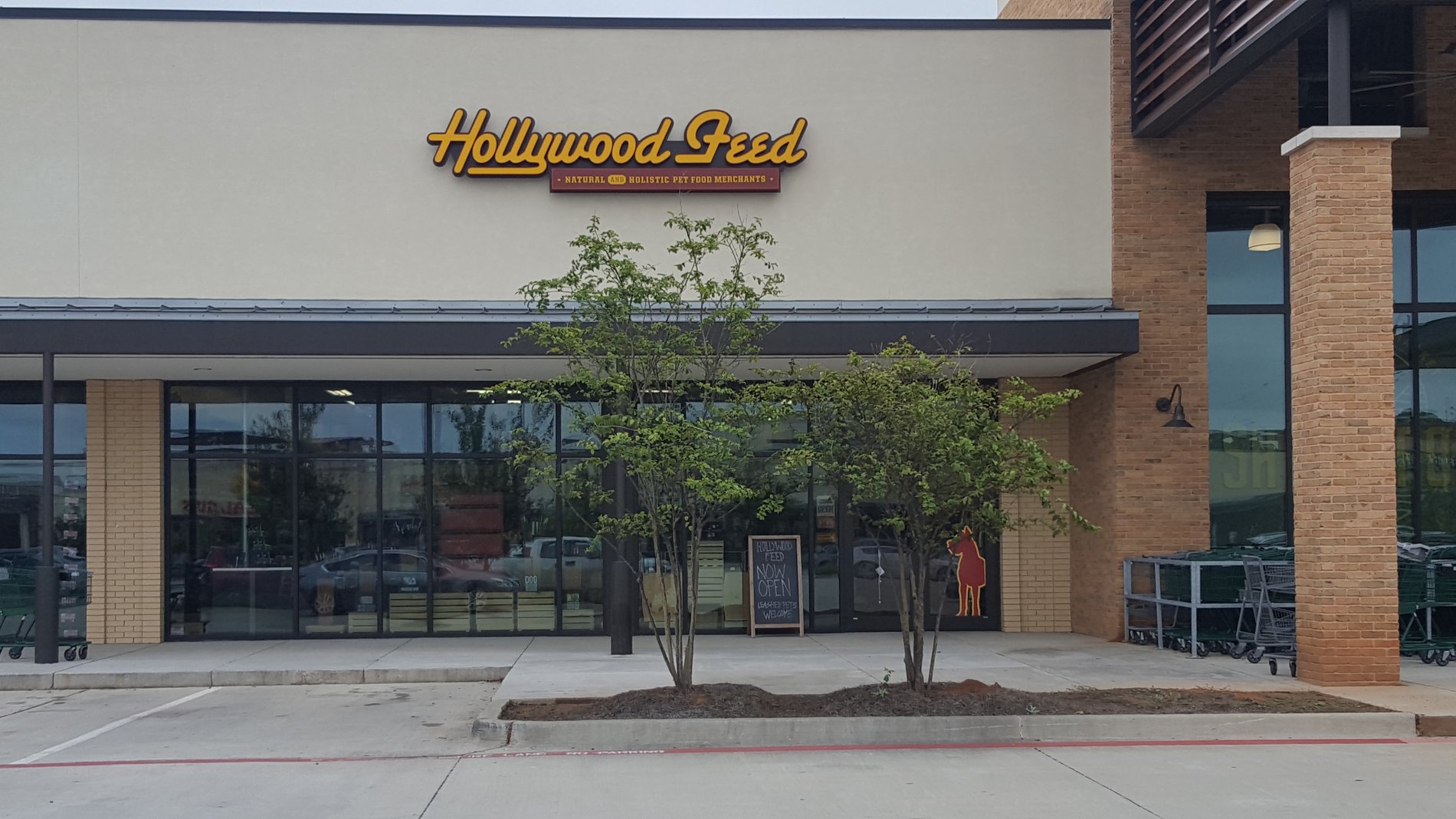 Hollywood Feed Fern Marketplace: {KEYWORDS} in Shreveport, LA