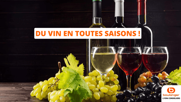 Du vin en toutes saisons, dans votre magasin Boulanger Lyon Cordeliers !