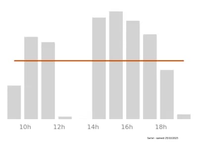 Voir le trafic sur Google maps https://maps.google.com/maps?cid=754205328769765270