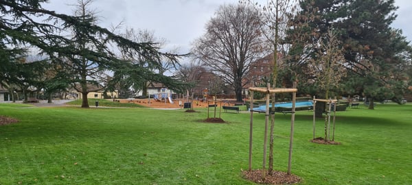ELLEXA Sàrl, Soins aux arbres à Attalens