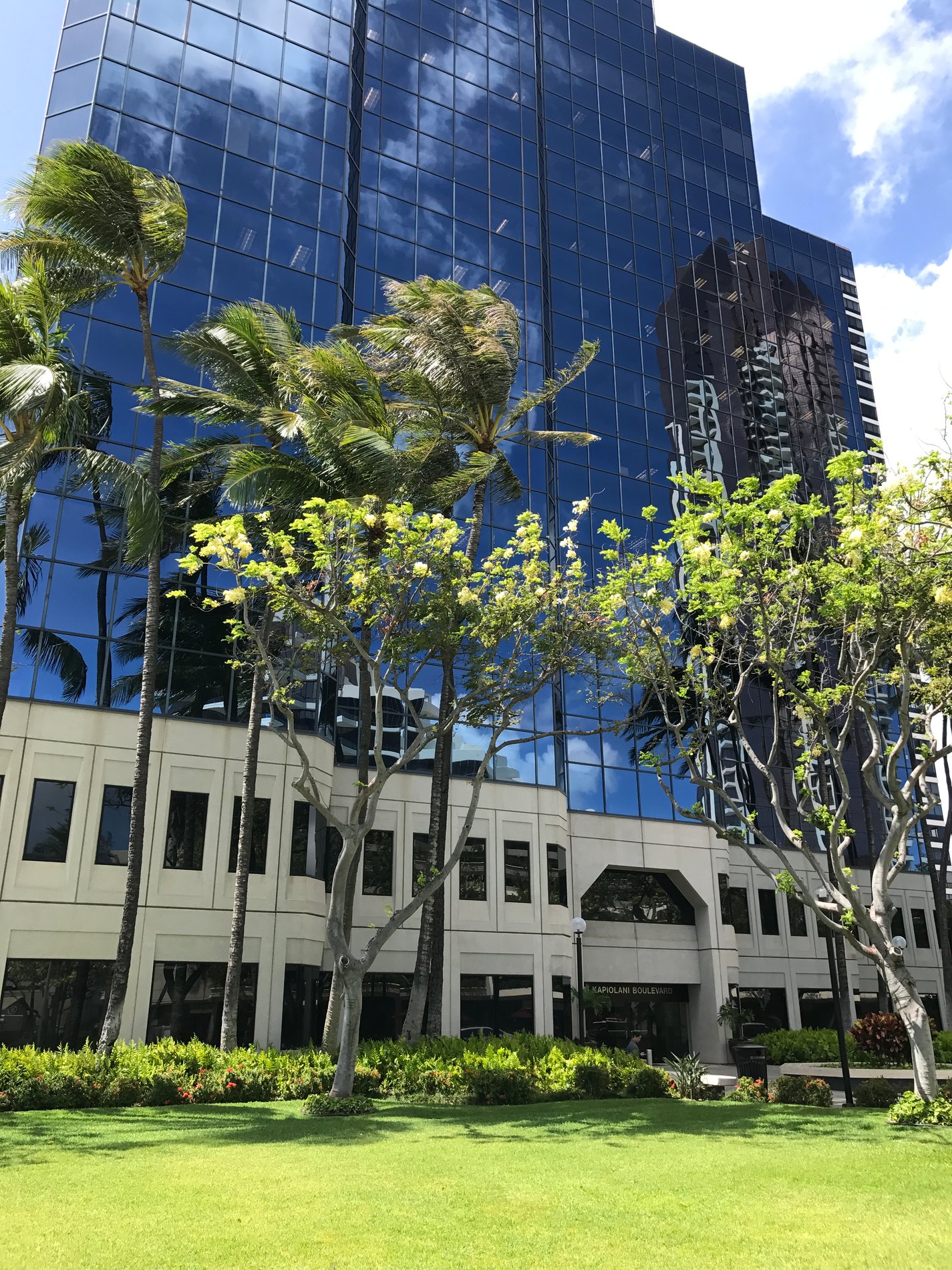 Allstate Car Insurance in Honolulu, HI Rory Lee