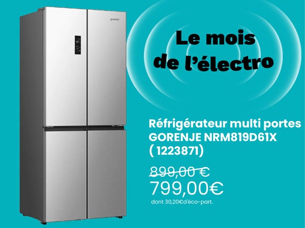 Réfrigérateur multi portes GORENJE NRM819D61X
