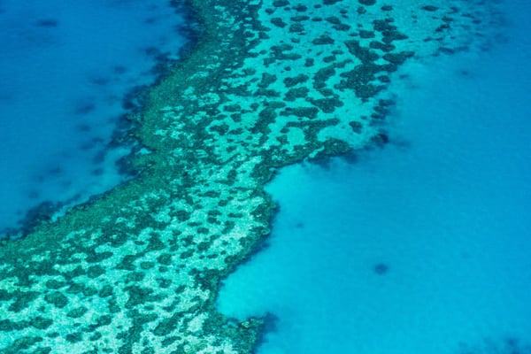 グレートバリアリーフ　イメージ