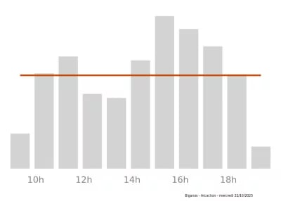 Voir le trafic sur Google maps https://maps.google.com/maps?cid=5692822803072488221